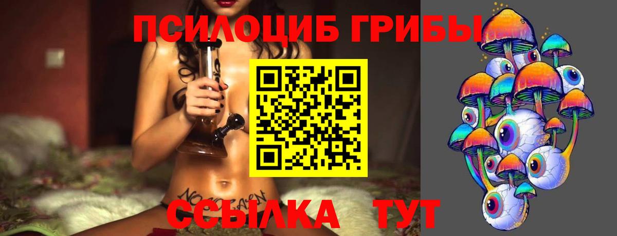 Псилоцибиновые грибы Magic Shrooms Сургут